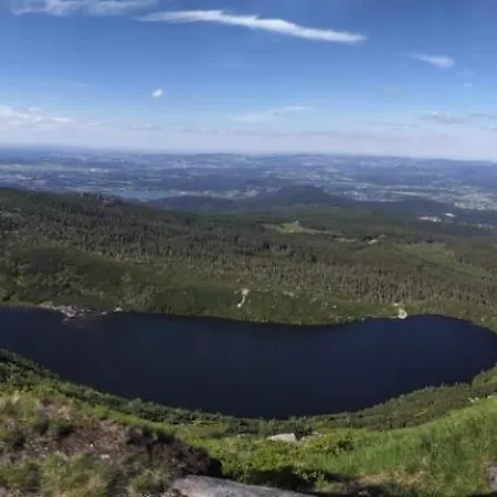 בית נופש Pine Peak House